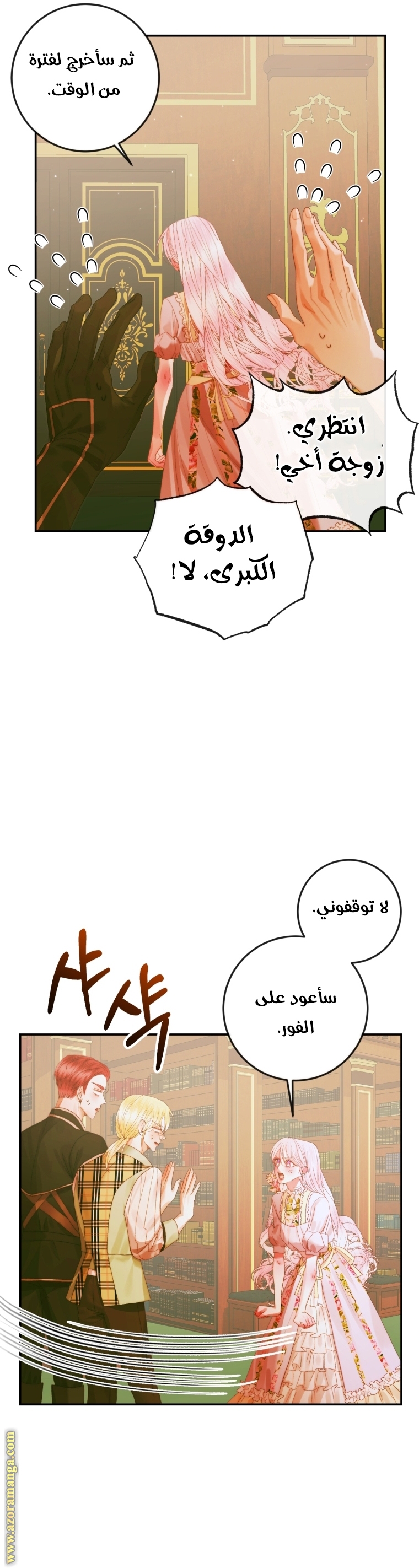الصفحة 17
