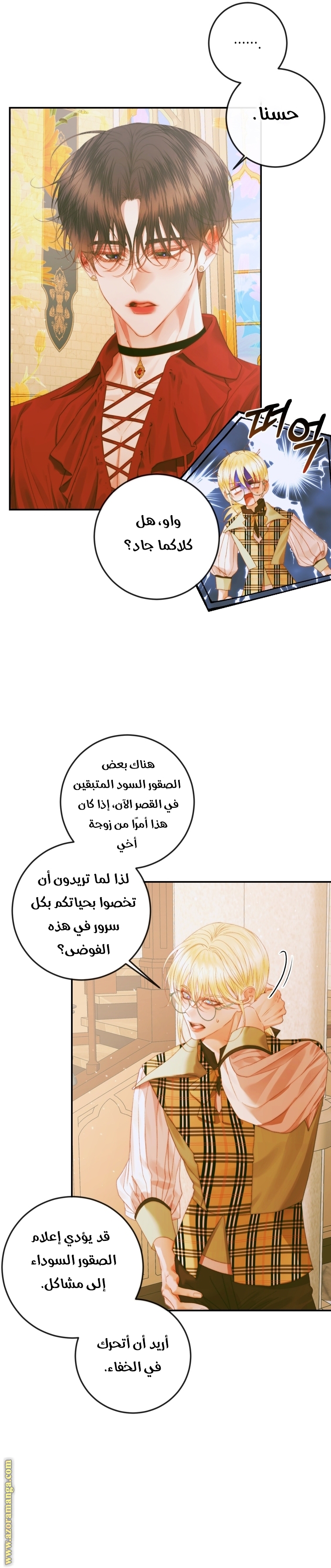 الصفحة 27