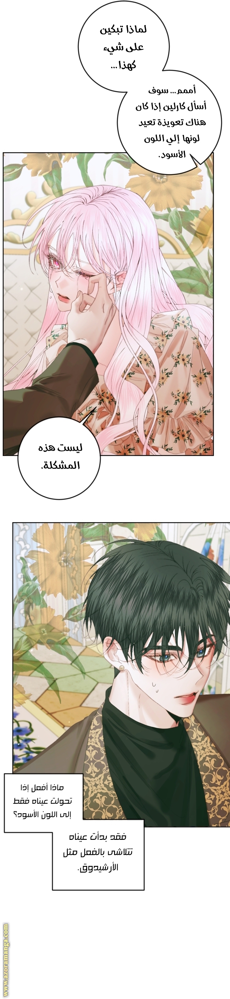 الصفحة 6