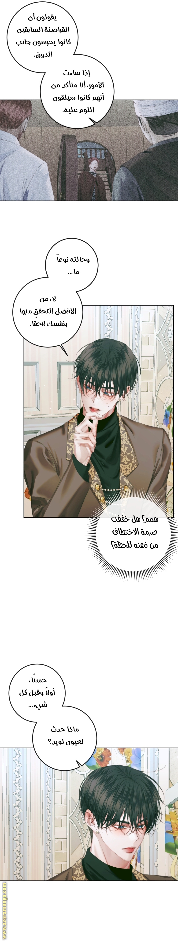 الصفحة 17
