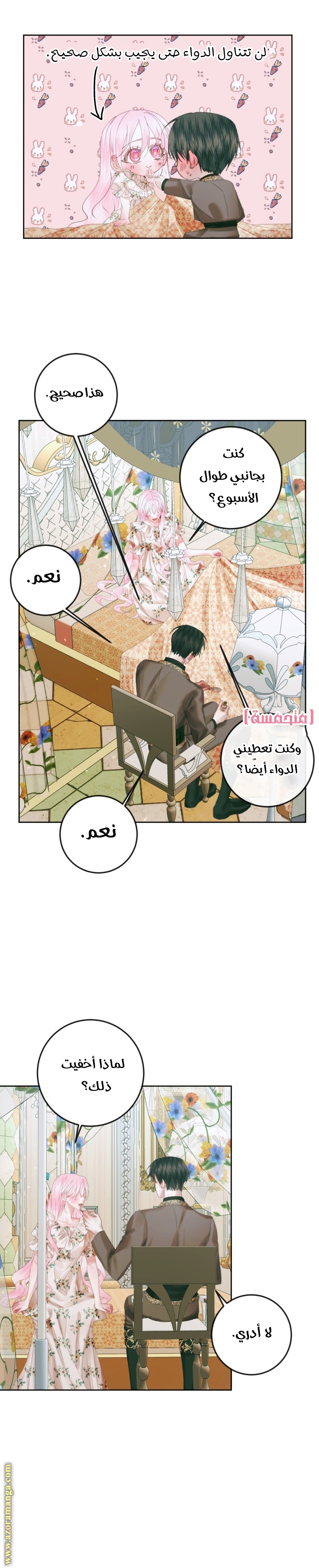 الصفحة 24