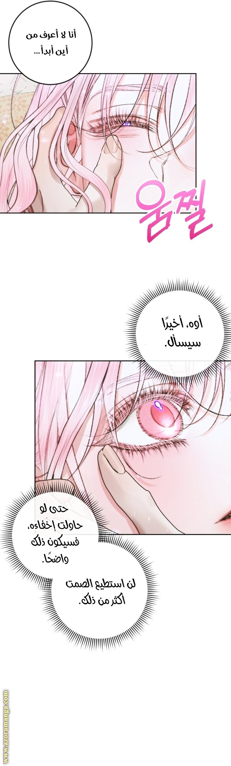 الصفحة 26