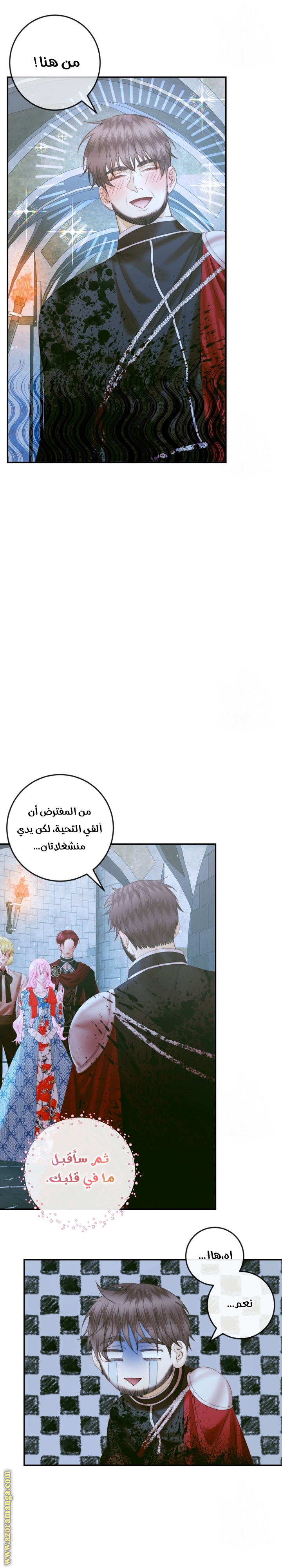 الصفحة 19