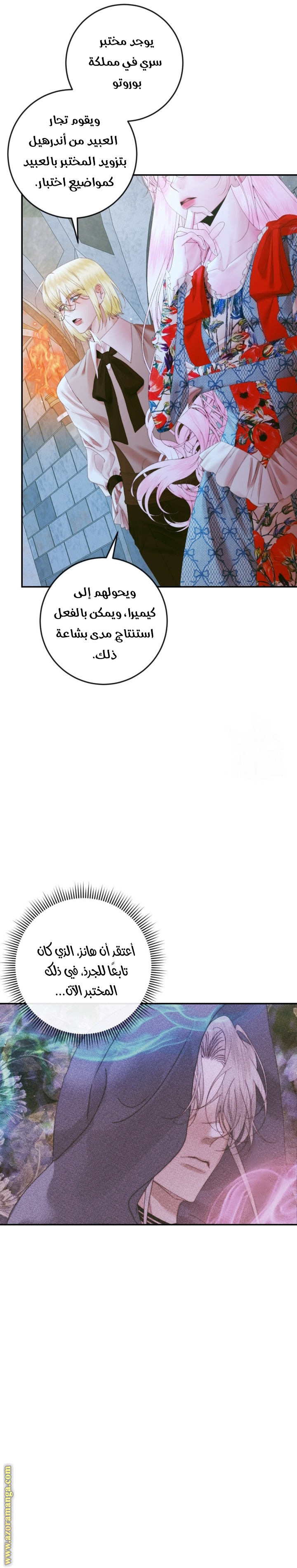 الصفحة 24