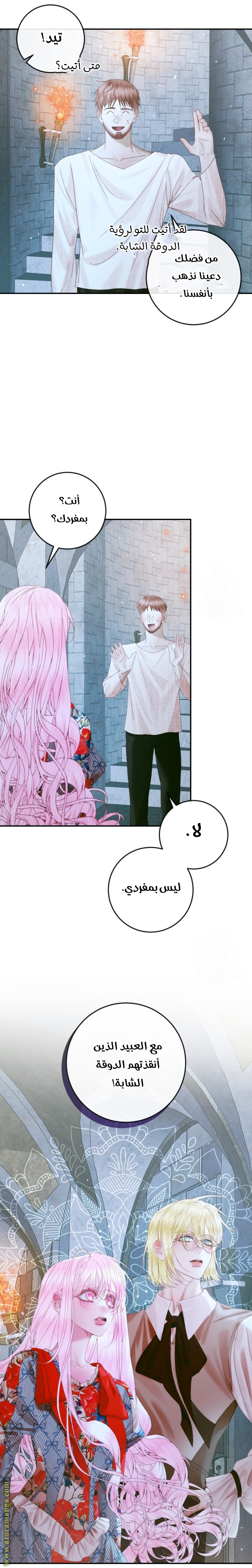 الصفحة 26