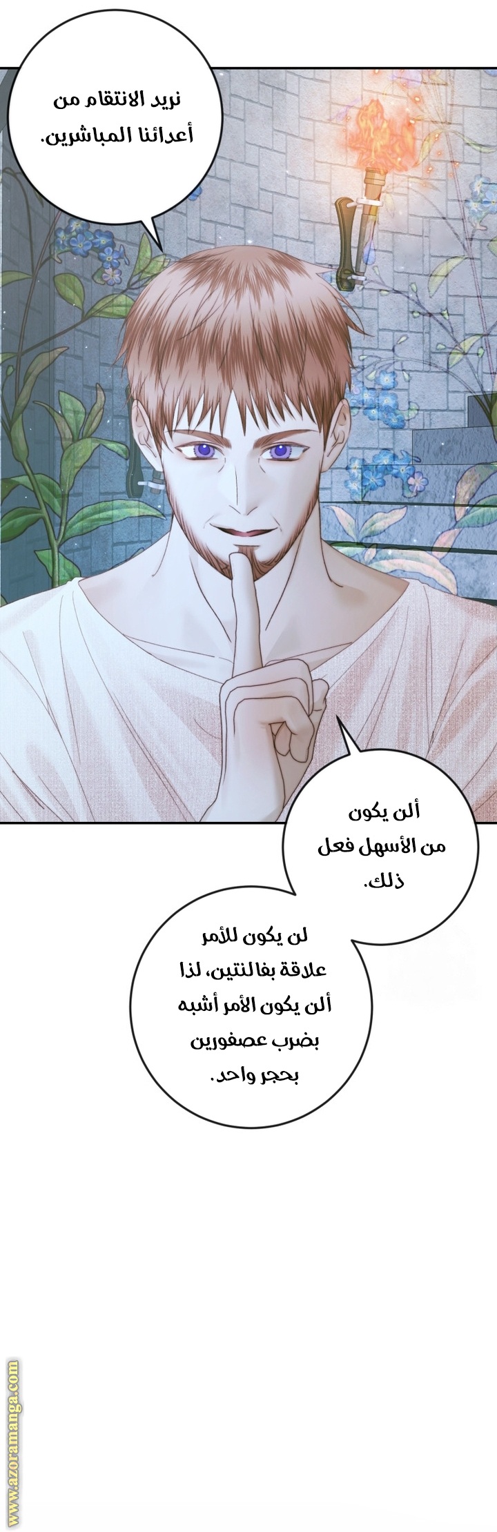 الصفحة 27
