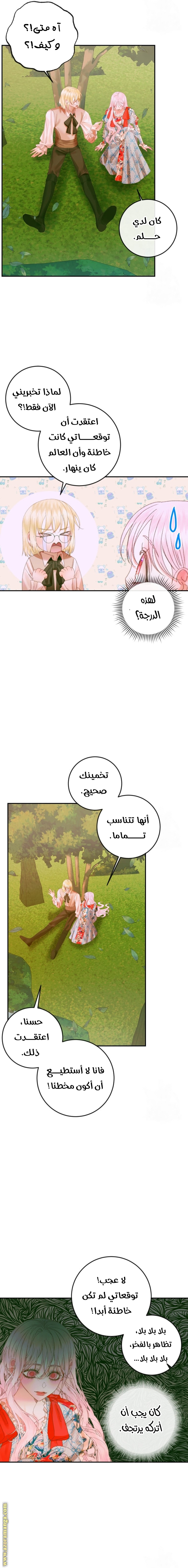 الصفحة 11