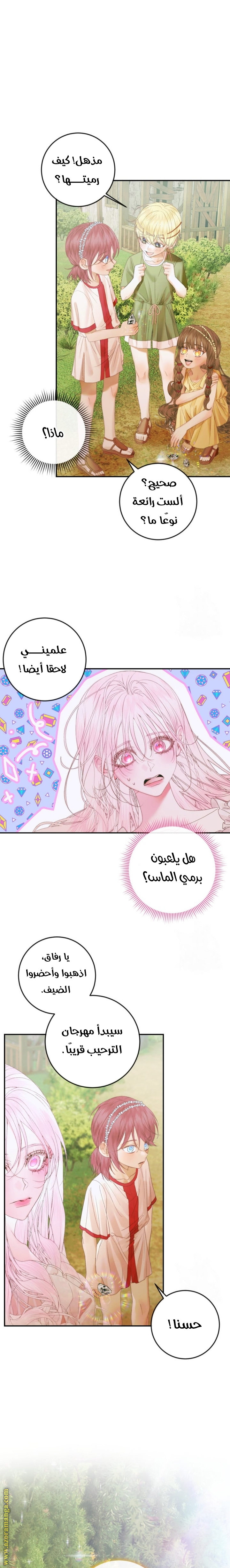 الصفحة 17