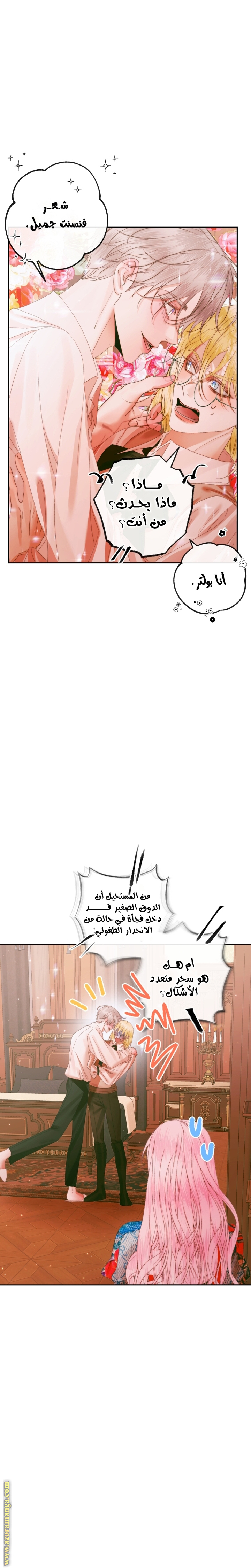 الصفحة 11