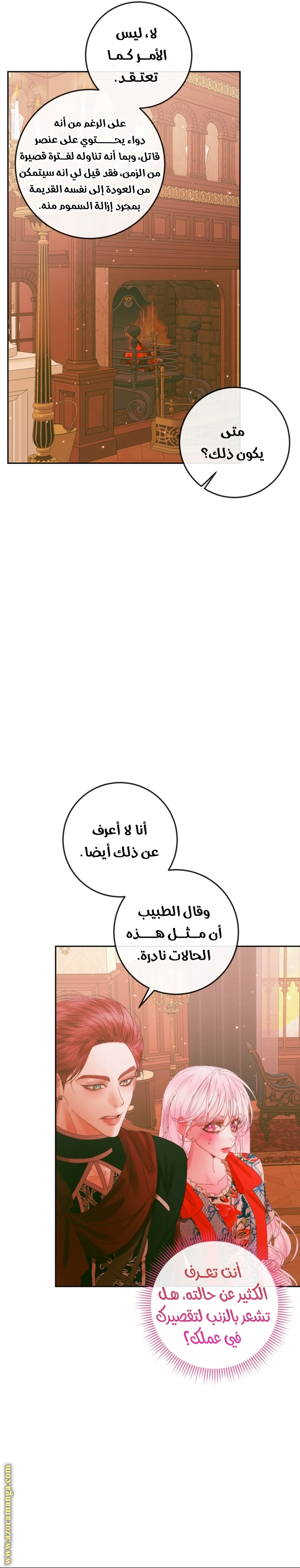 الصفحة 13
