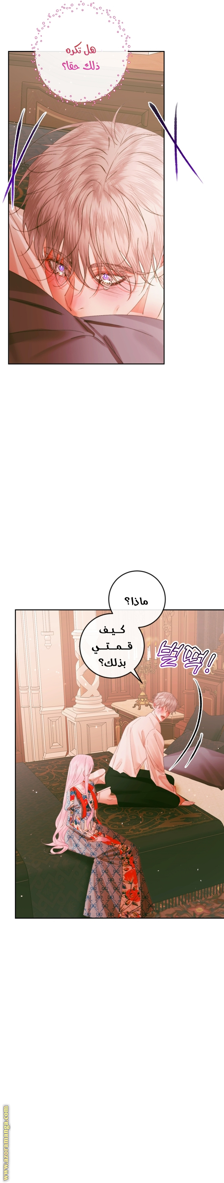 الصفحة 21