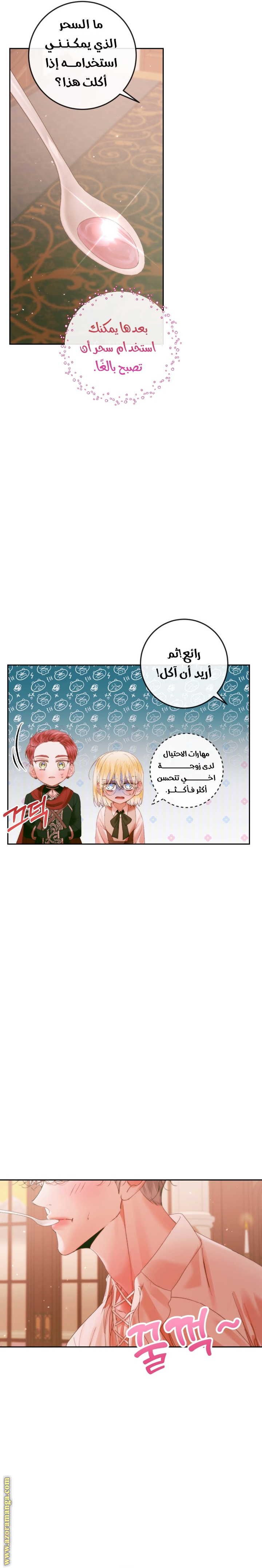 الصفحة 24