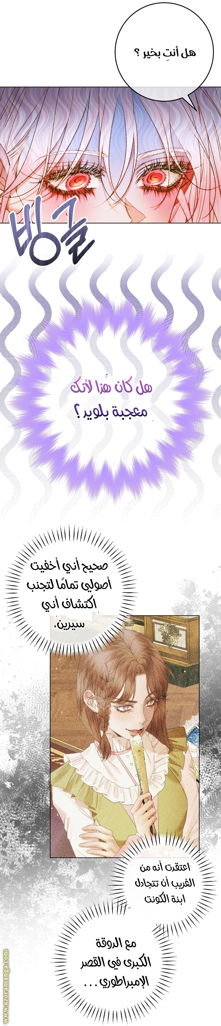الصفحة 21