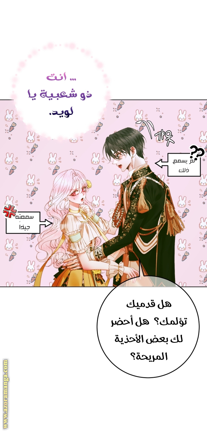 الصفحة 22