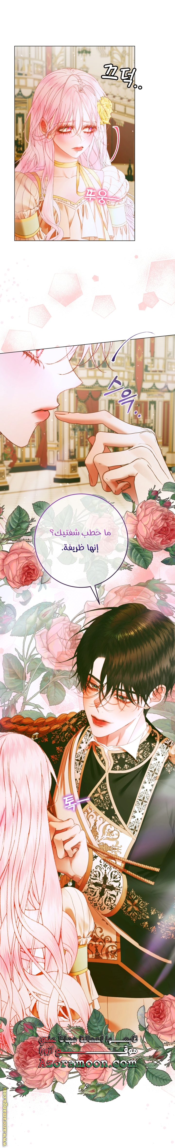 الصفحة 23