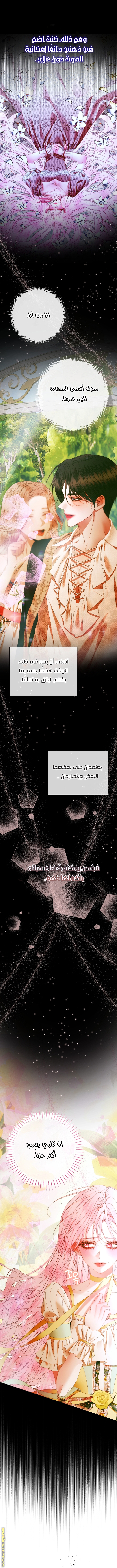 الصفحة 27