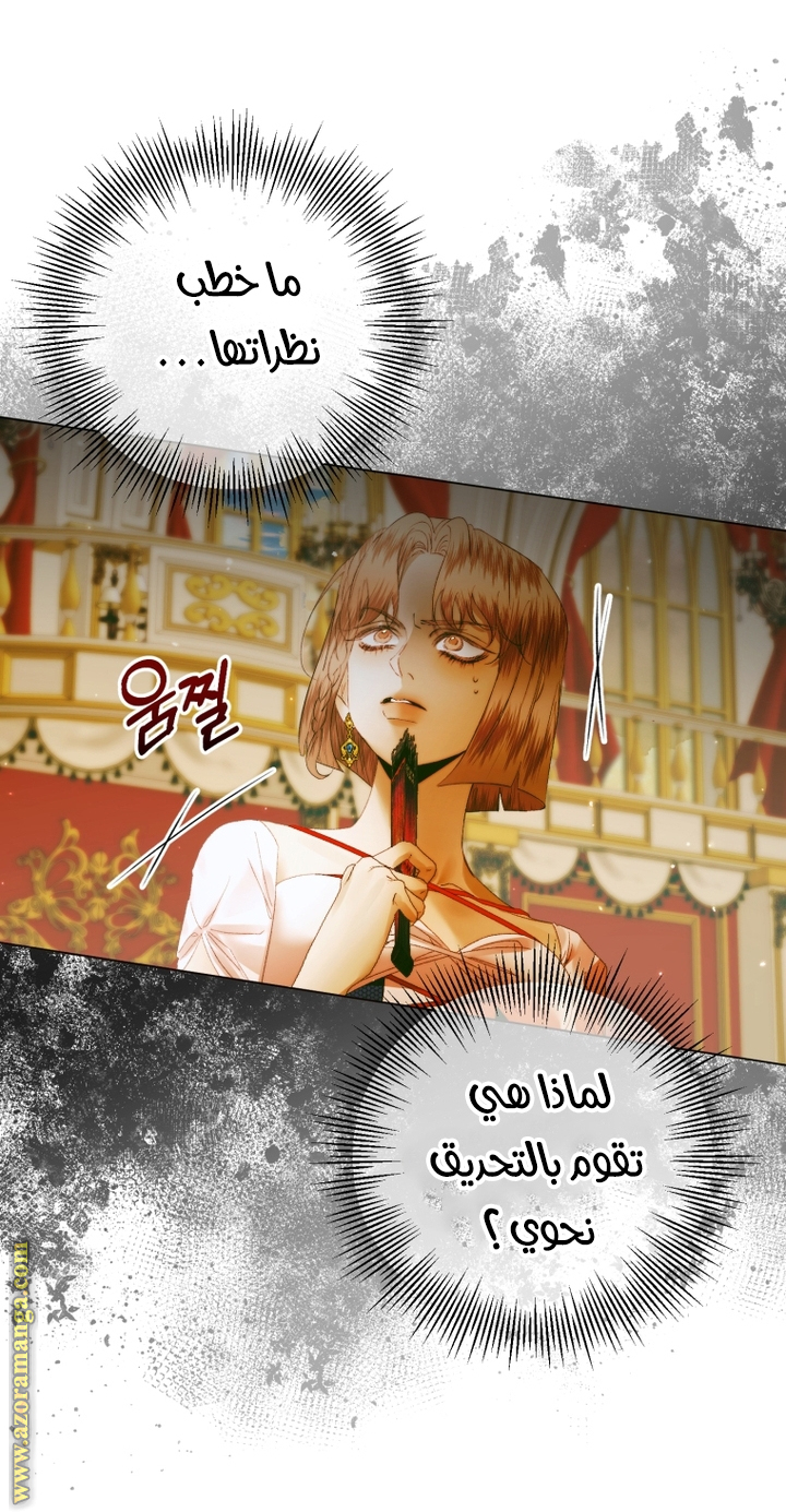 الصفحة 29