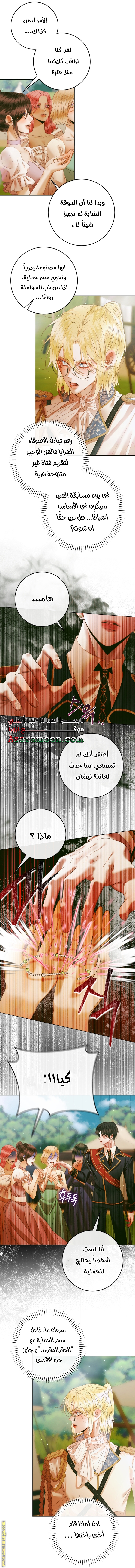 الصفحة 31