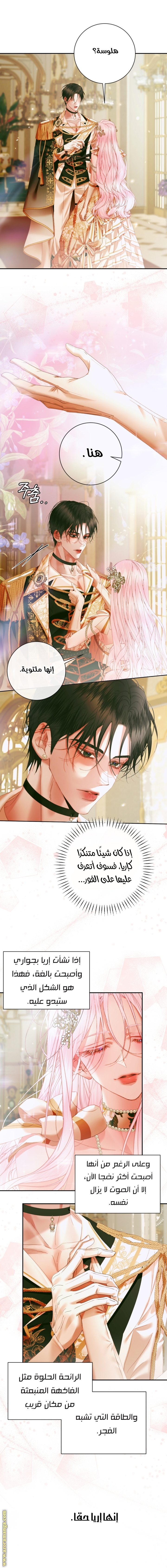 الصفحة 10