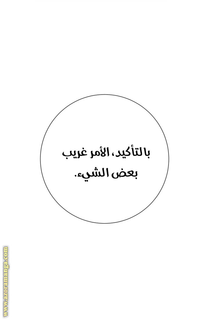 الصفحة 25