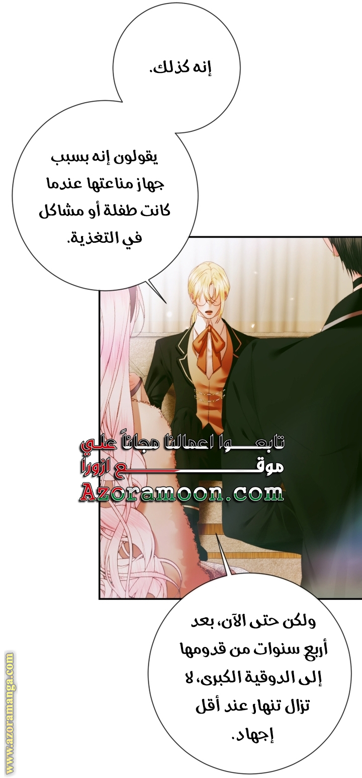 الصفحة 28
