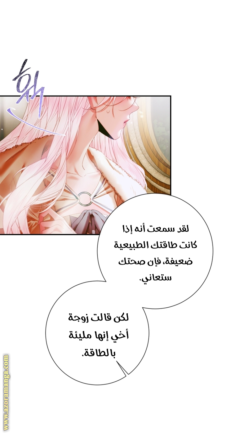 الصفحة 29