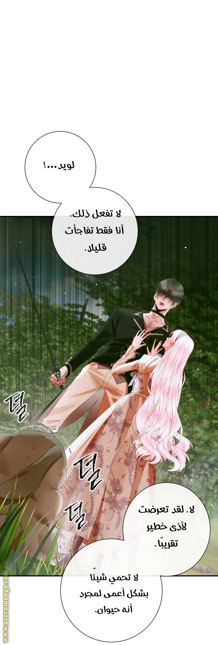 الصفحة 40