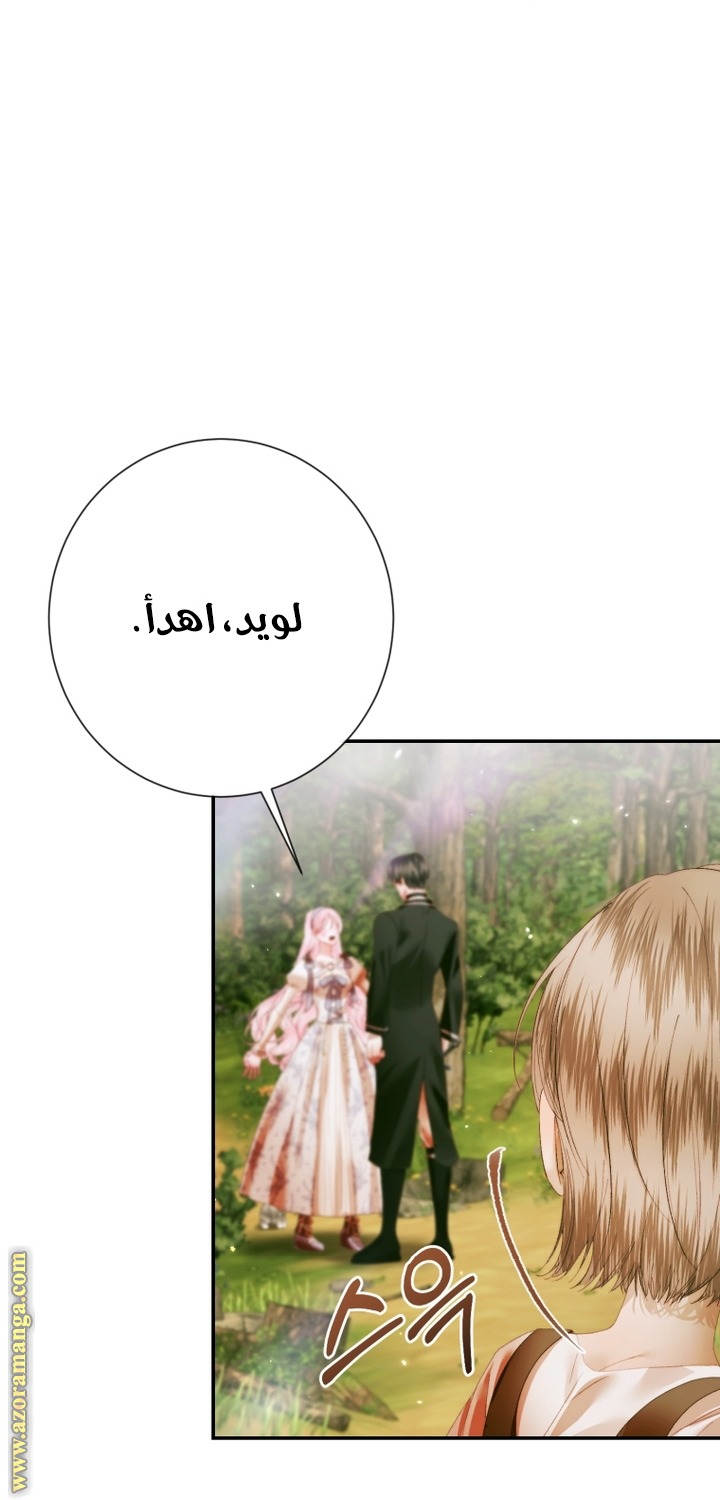 الصفحة 46
