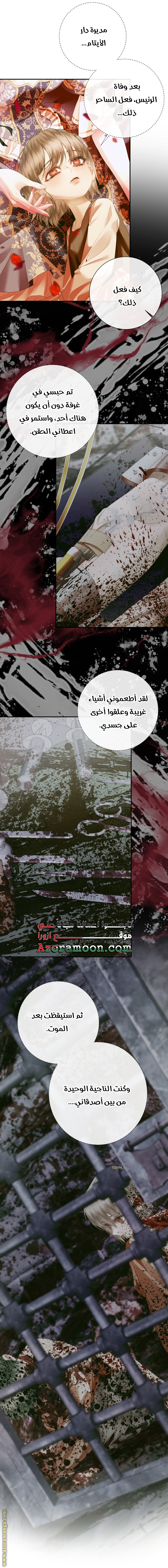 الصفحة 13