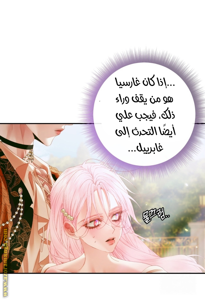الصفحة 29