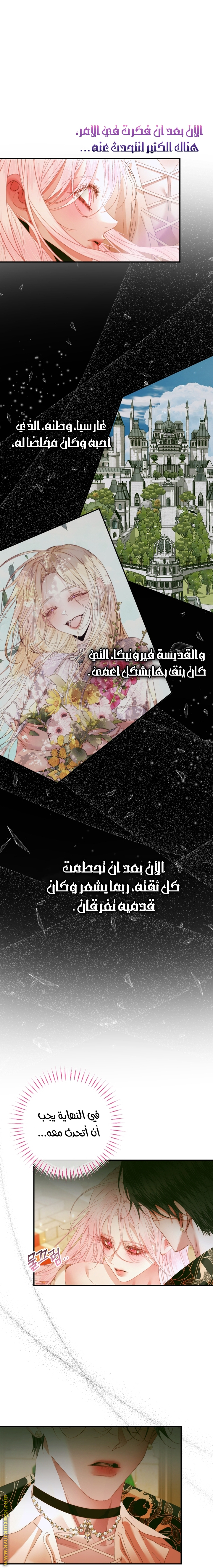 الصفحة 17