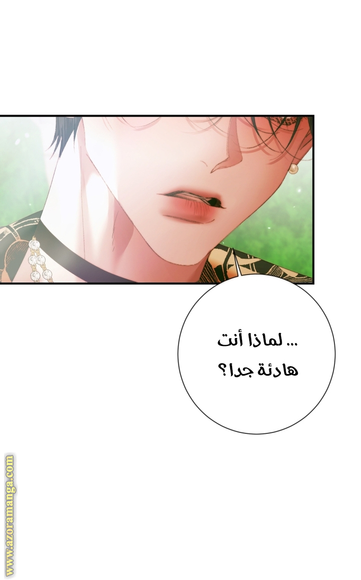 الصفحة 25