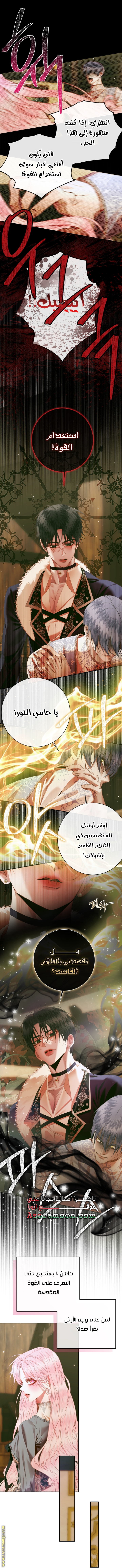 الصفحة 19