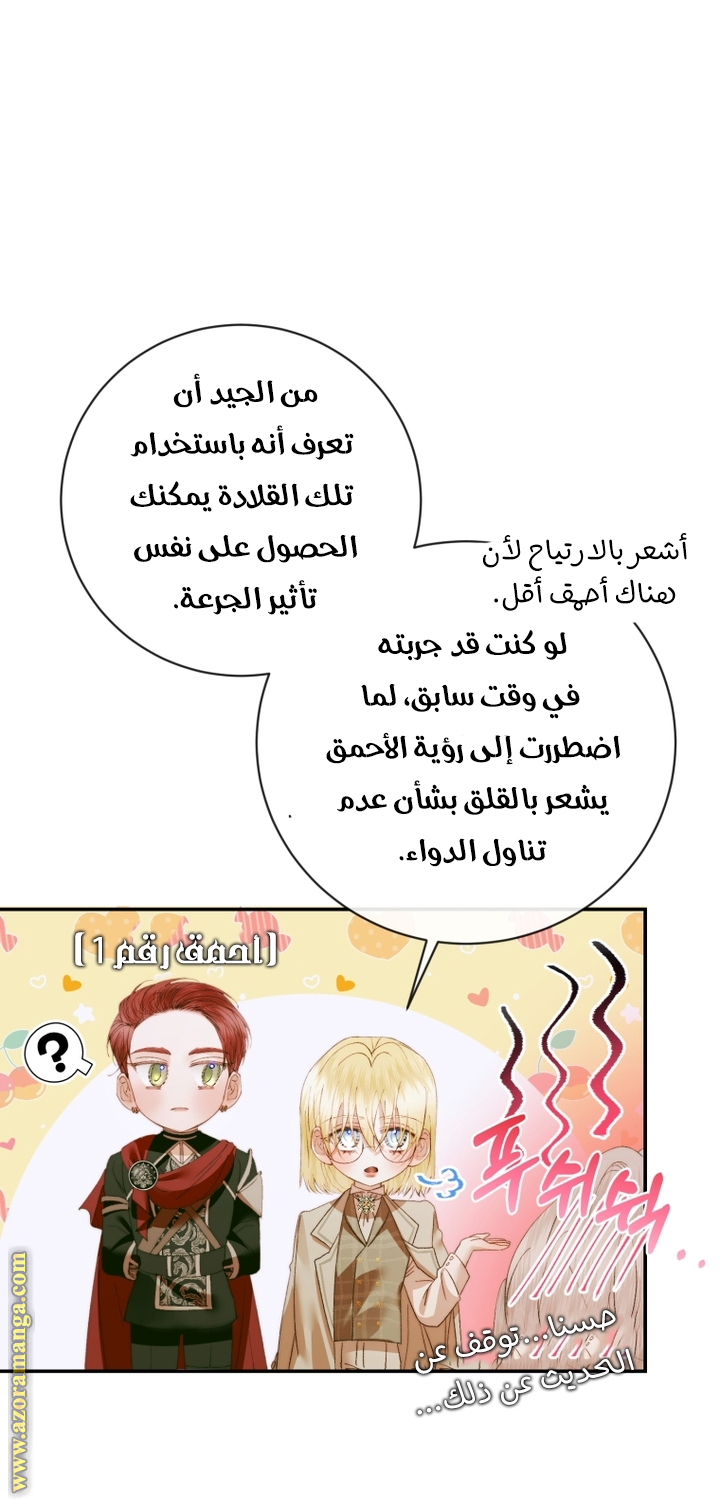 الصفحة 25