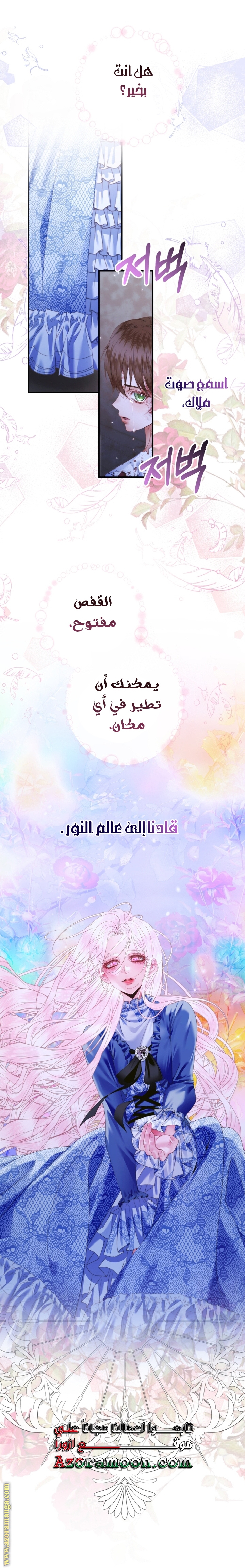 الصفحة 17