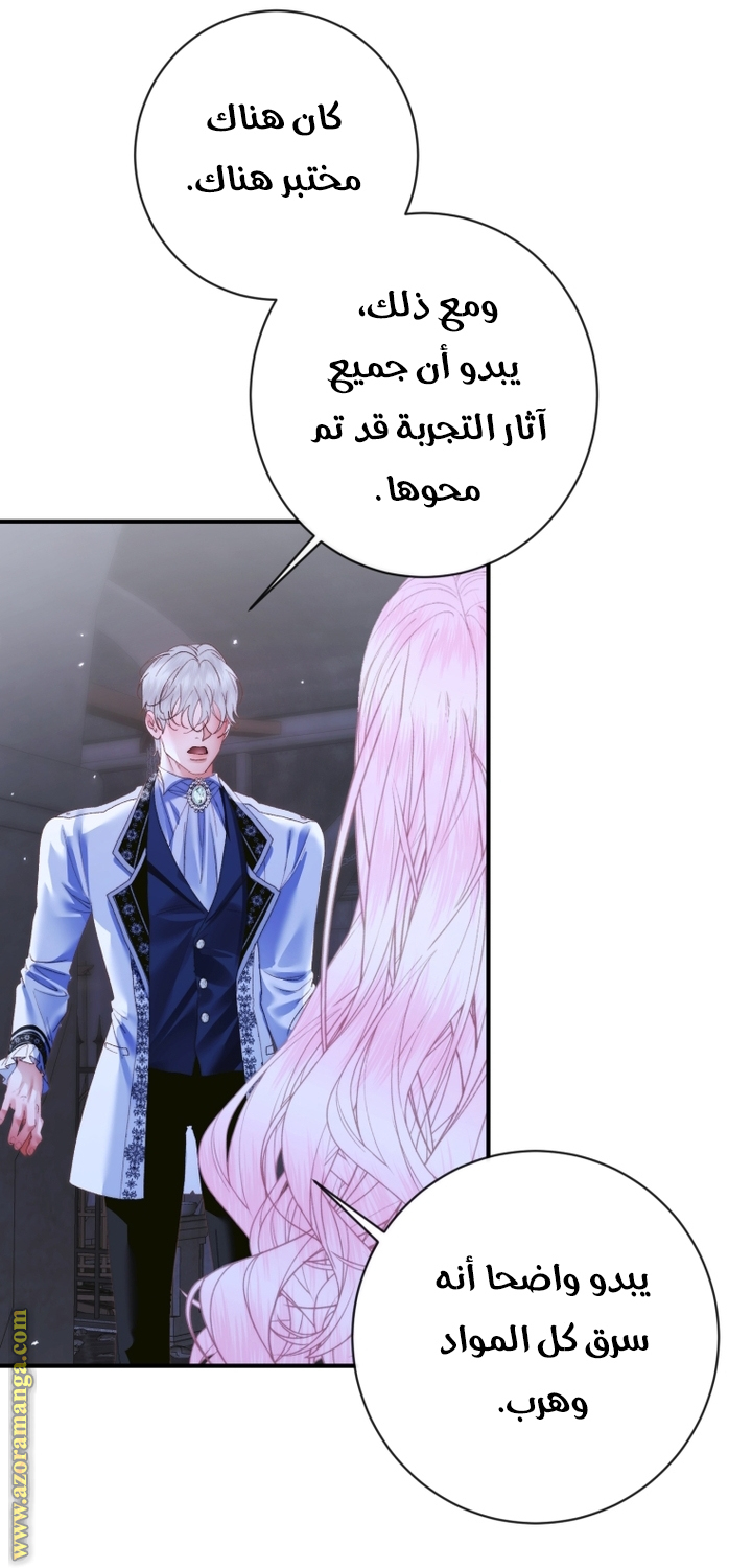 الصفحة 21