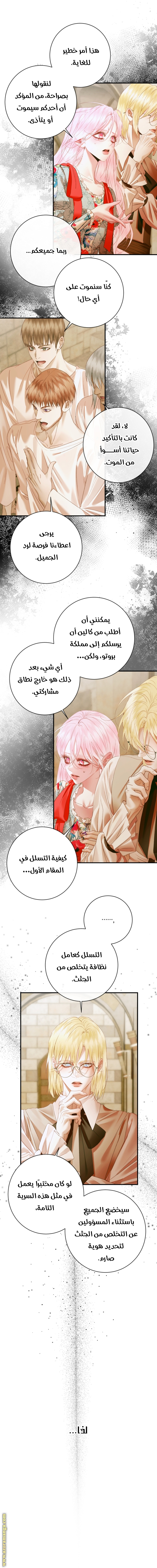 الصفحة 13