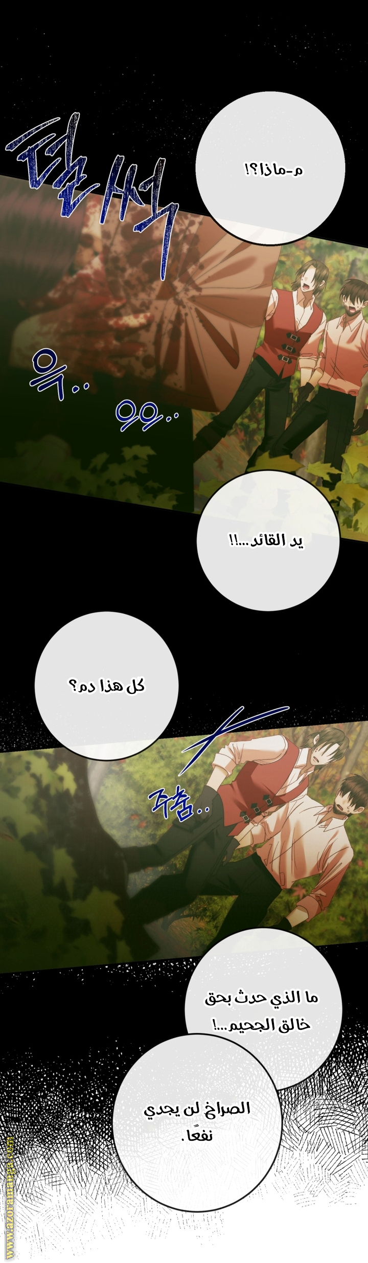 الصفحة 11