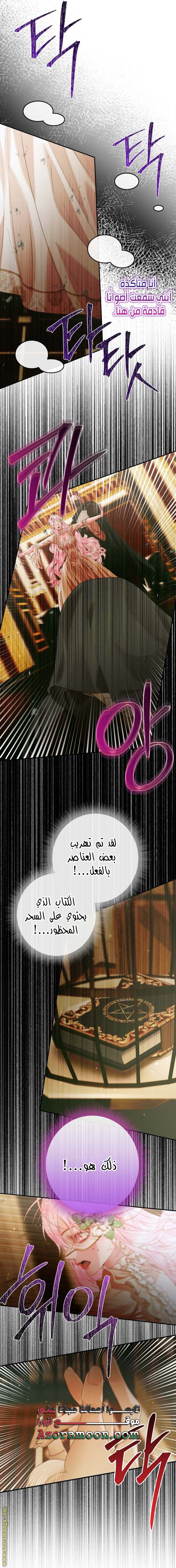الصفحة 19