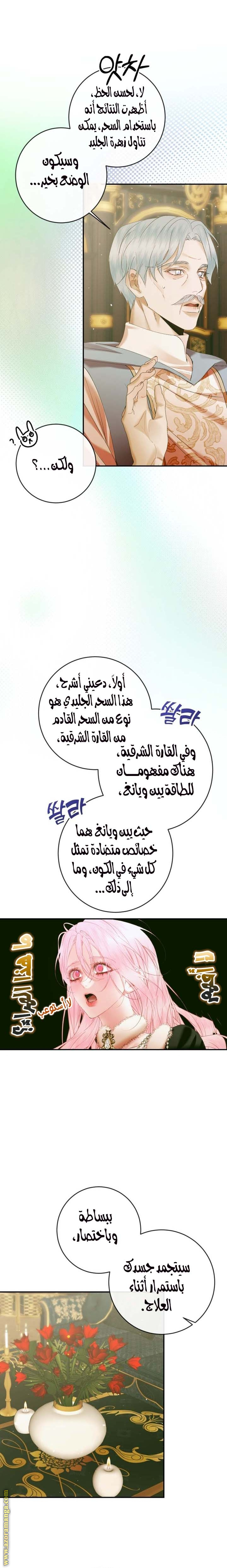 الصفحة 20