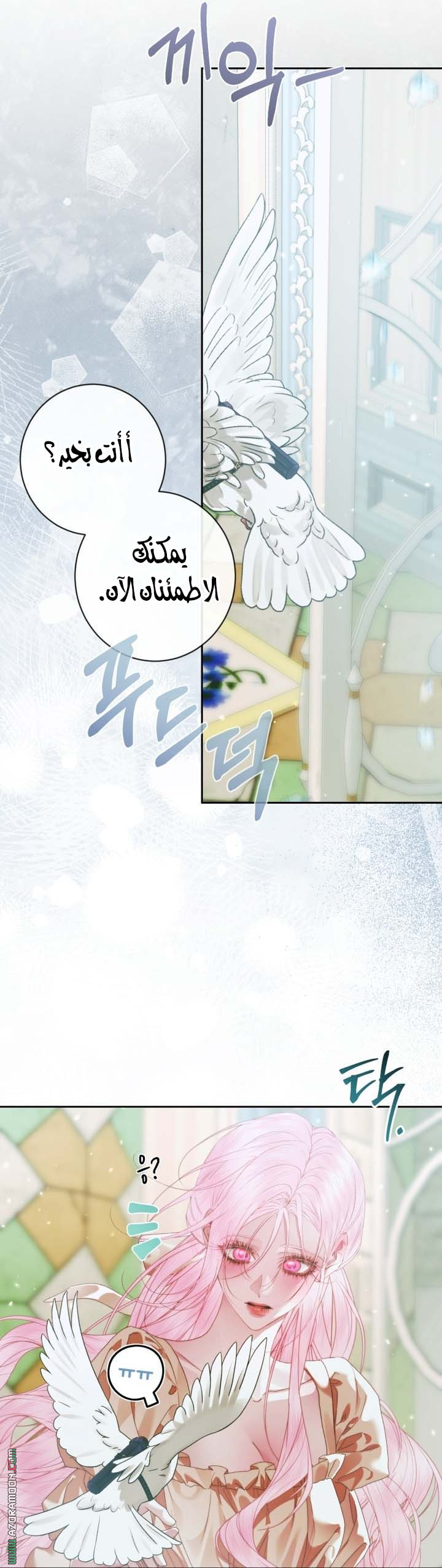 الصفحة 7