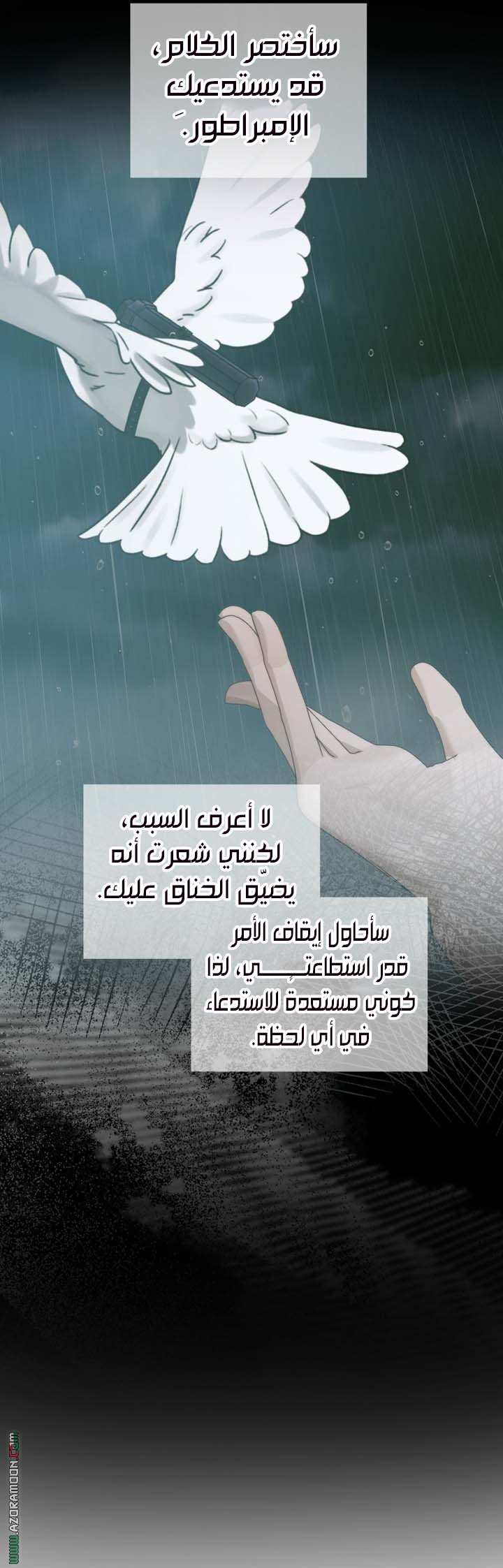 الصفحة 18