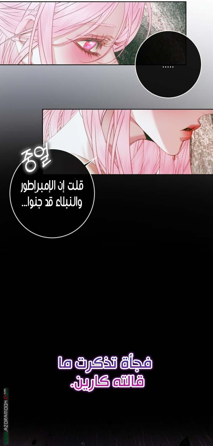 الصفحة 23