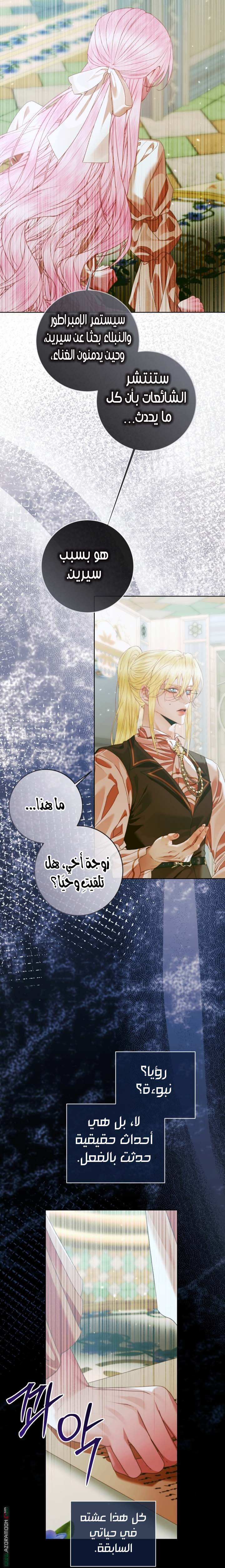 الصفحة 26