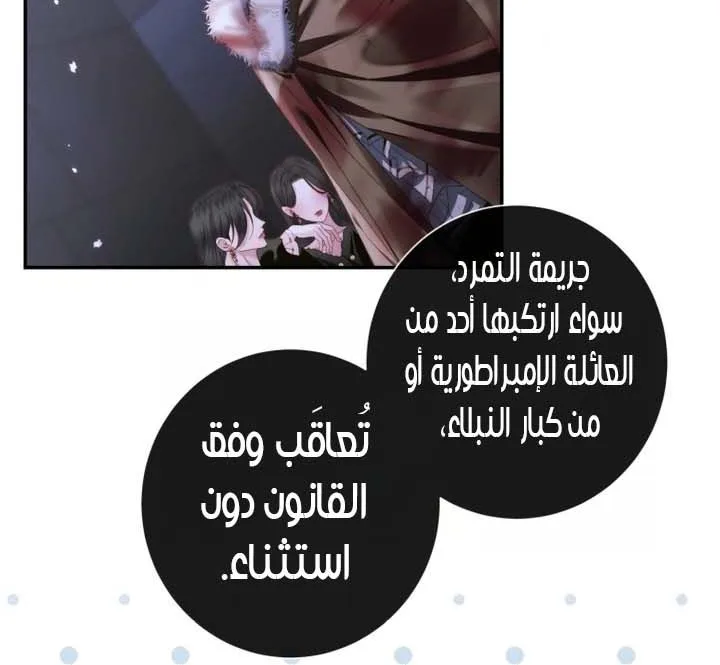 الصفحة 26