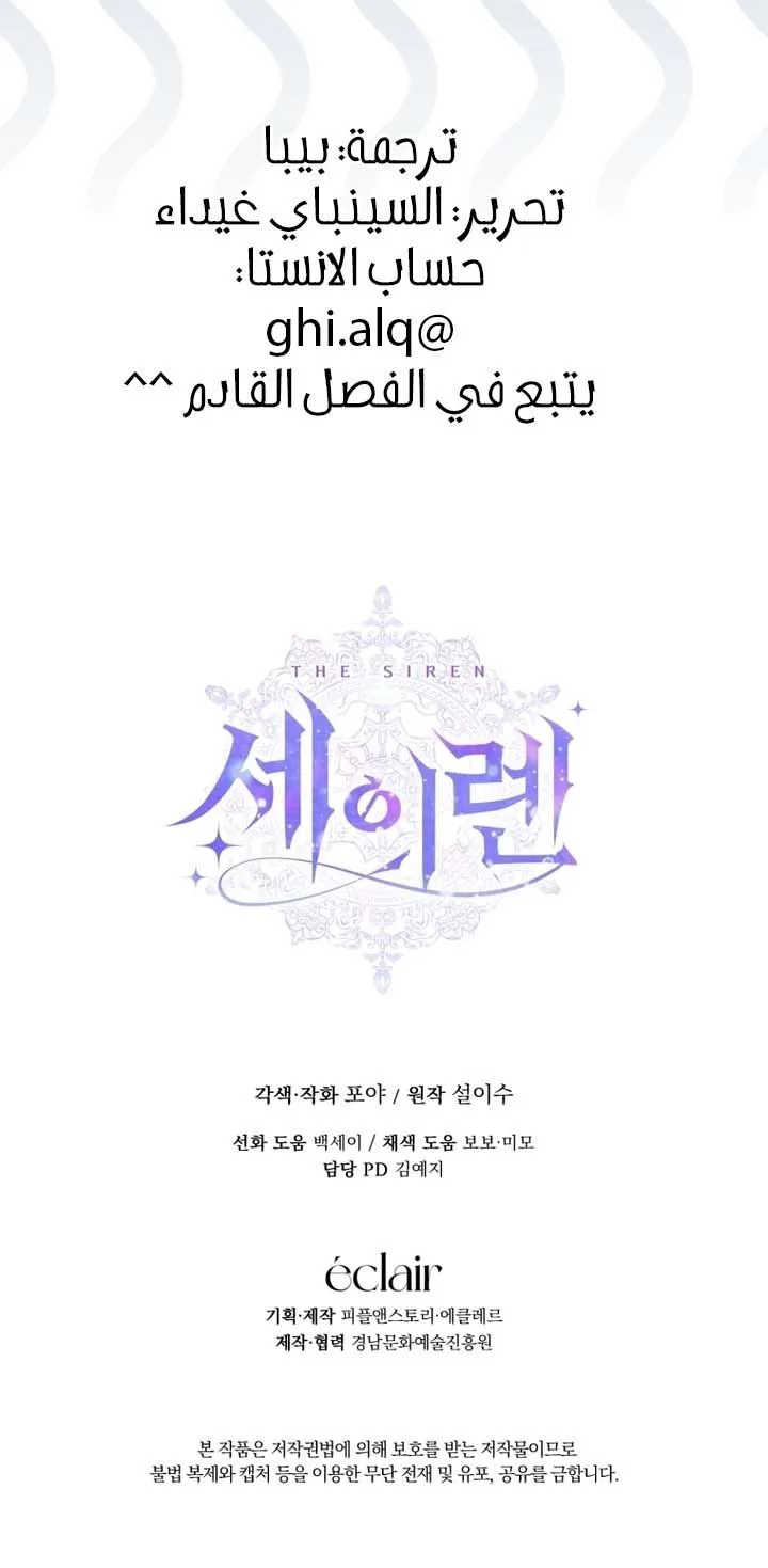 الصفحة 29