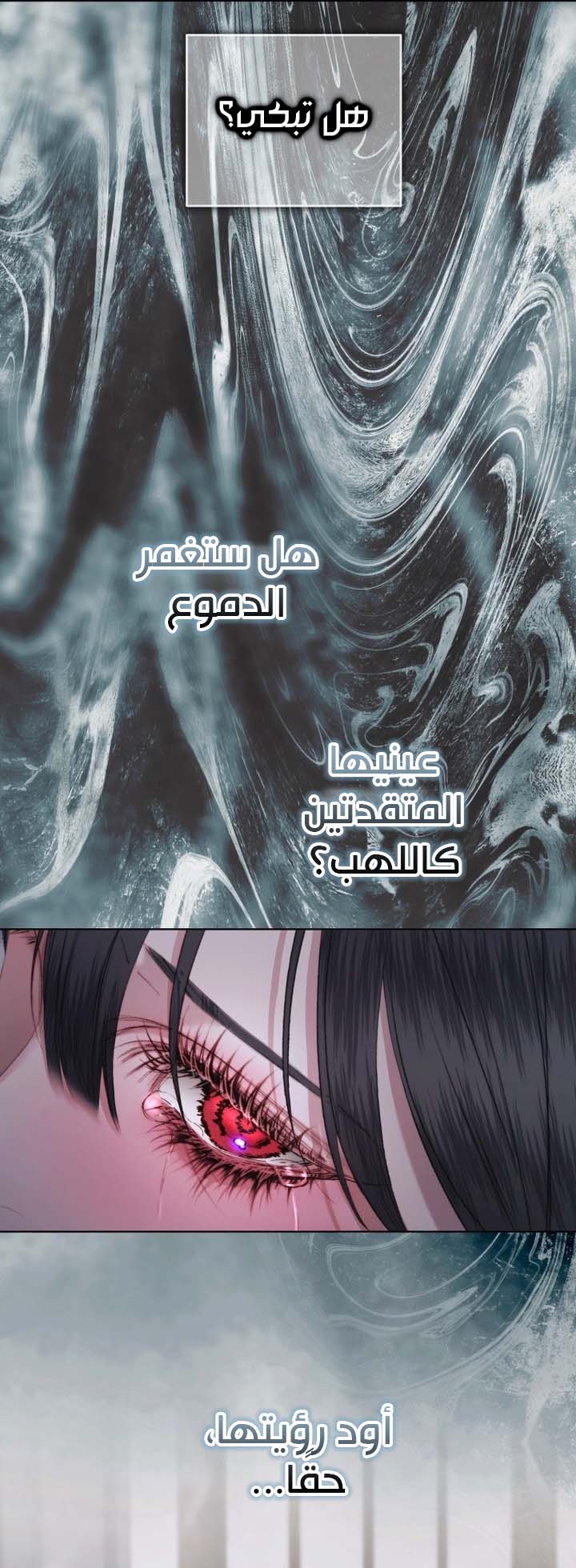 الصفحة 27