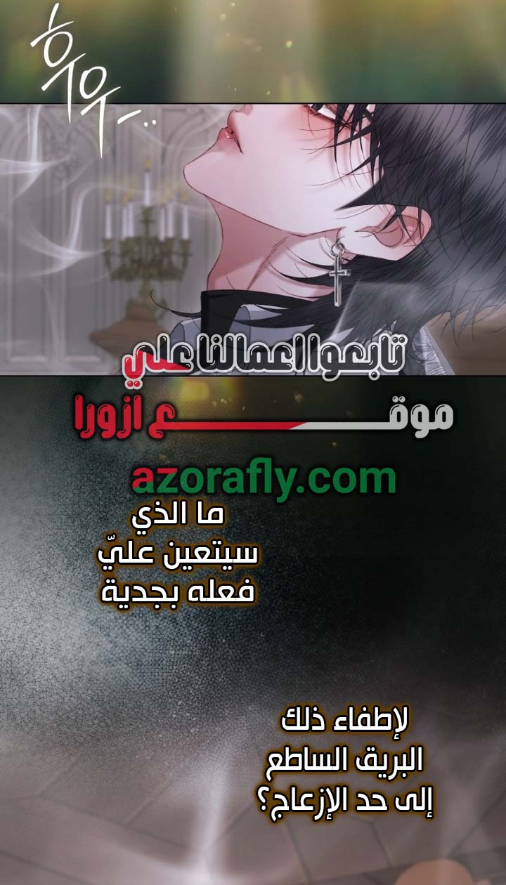 الصفحة 31
