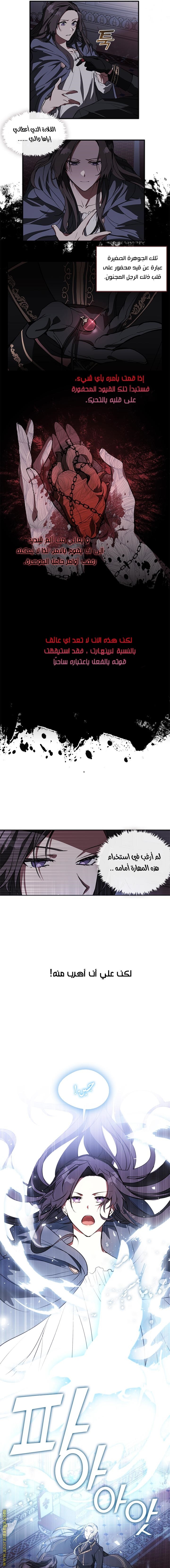 الصفحة 13
