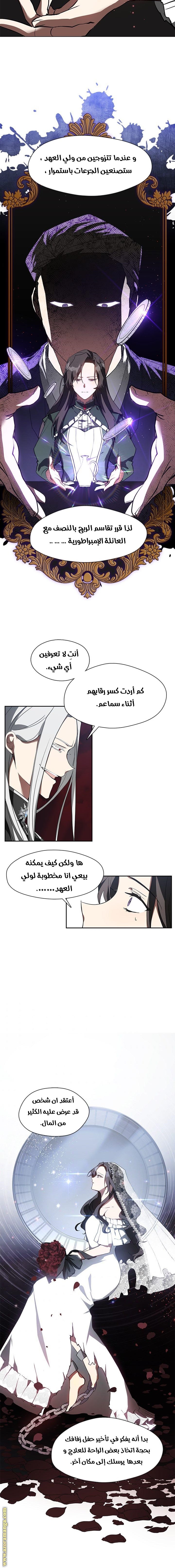 الصفحة 6